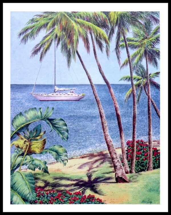 AIM 484 Illusion View II (S/N LIMITED EDITION)